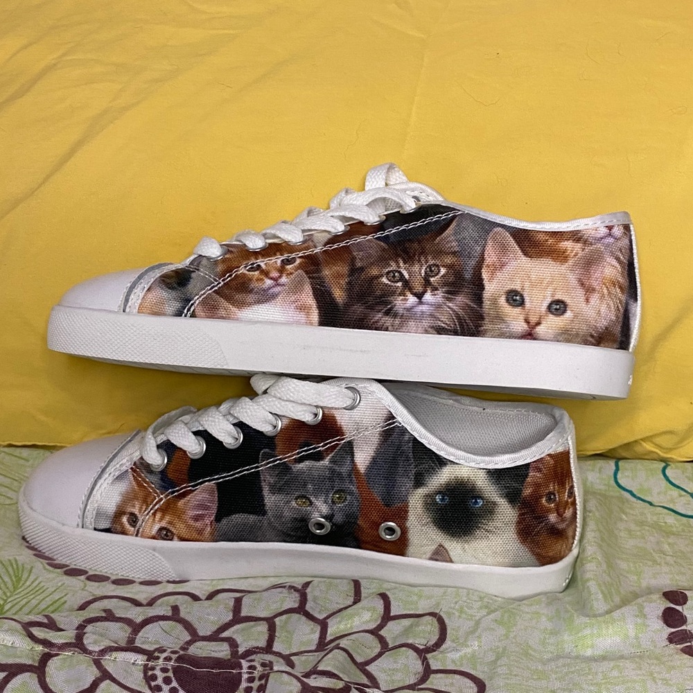 BRAND NEW Cat low top shoes